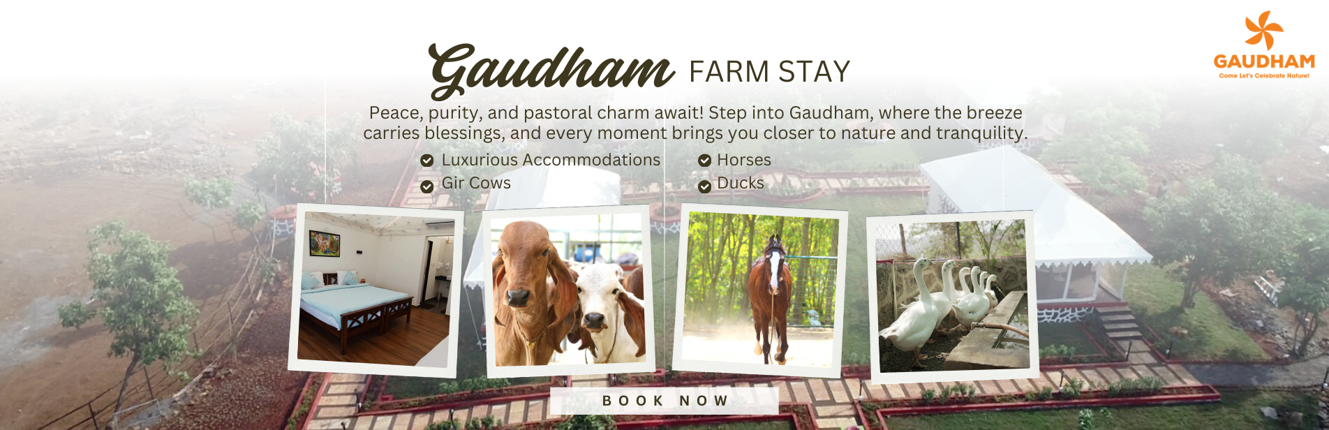 gaudham farm stay