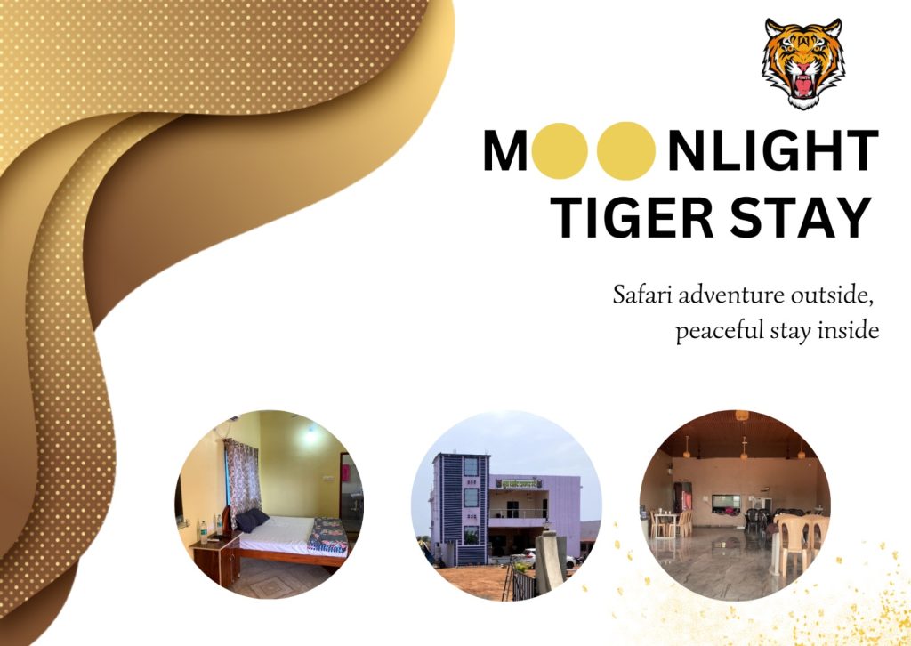 Moonlight Tiger Home Stay